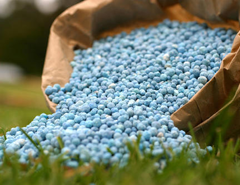 Mineral and chemical fertilizers