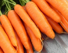 carrot super nantes