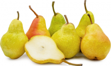 Pear seedlings of seed-based fruit