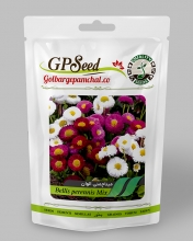 Enamel flower seeds of dwarf grass, colorful primrose petals