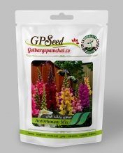 Colorful tall monkey flower seeds