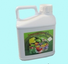 Raja Super Humic Fertilizer