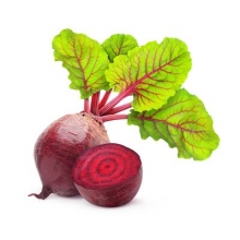 Seeds of red beet