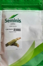Squash Seed Hybrid Riborn Seminis